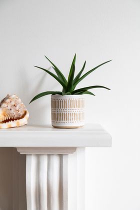 finn-ceramic-indoor-pot