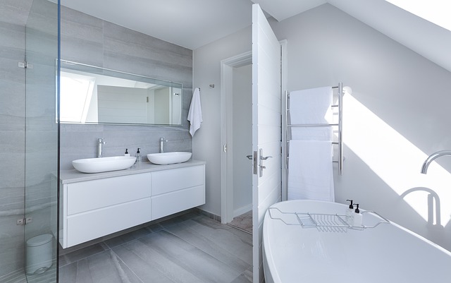 modern-minimalist-bathroom-3115450_640